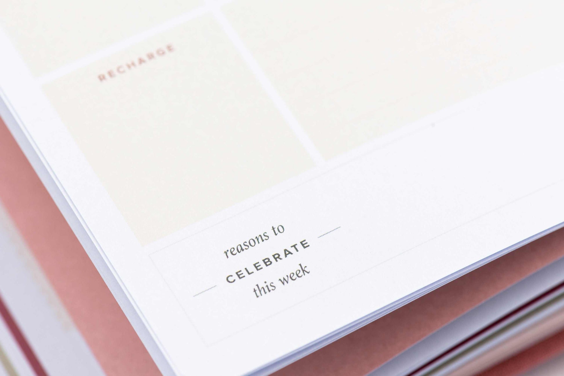 Undated Weekly Ponderlily Planner, Cayenne reasons to celebrate